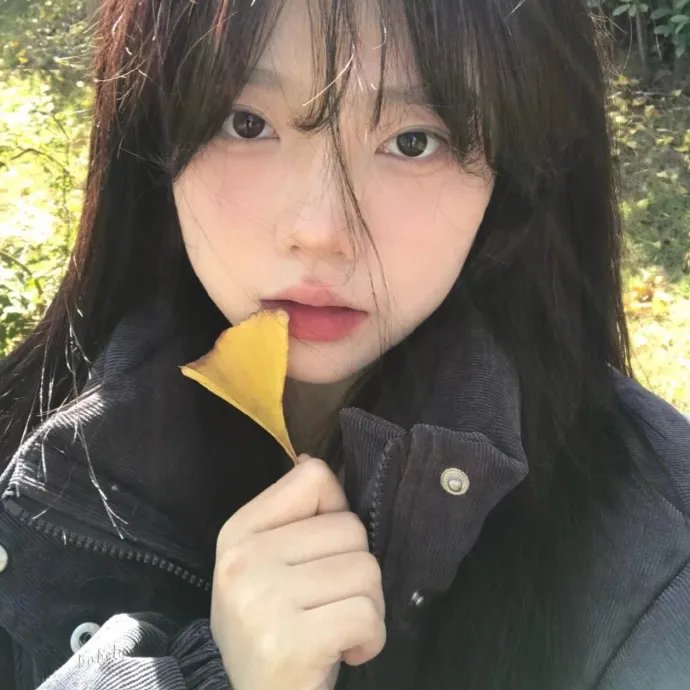 高山上的热气球